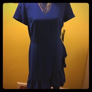 Stunning dress, nwt.